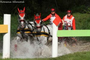 © NŽ Topoľčianky World Pair Driving Championship 2011: Always a challenge: water obstacle.