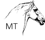 Logo MT