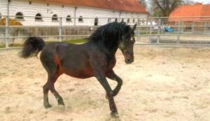 Aussage klar: Lasst mich in Ruhe im Sand wühlen.