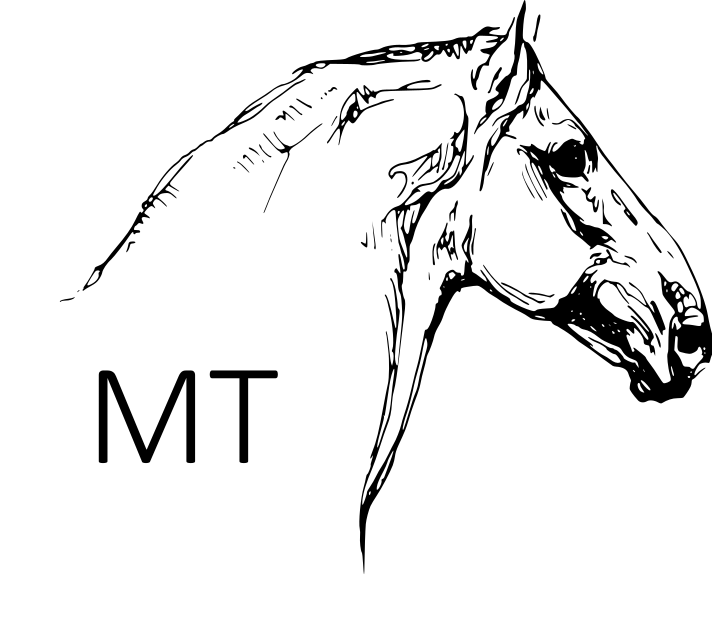 MT Logo