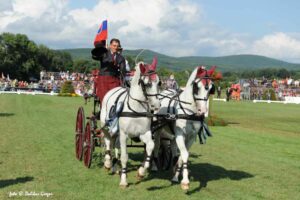 © NŽ Topoľčianky Zweispänner-WM 2013 in Topoľčianky, Slowakei: Mitja (rechts) mit seinem Team.